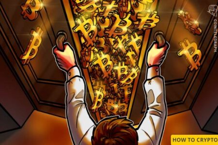 بیت کوین گران است اما هیچوقت برای خریدن این ارز دیر نیست