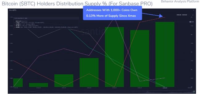 خرید بیت کوین در کریسمس نهنگ ها را سر ذوق آورده است