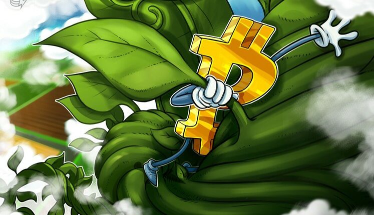 صعود قیمت بیت کوین