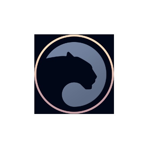 پروتکل ارز دیجیتال پنتر