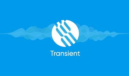 ارز دیجیتال Transient 1.2 میلیون دلار به‌دست آورد
