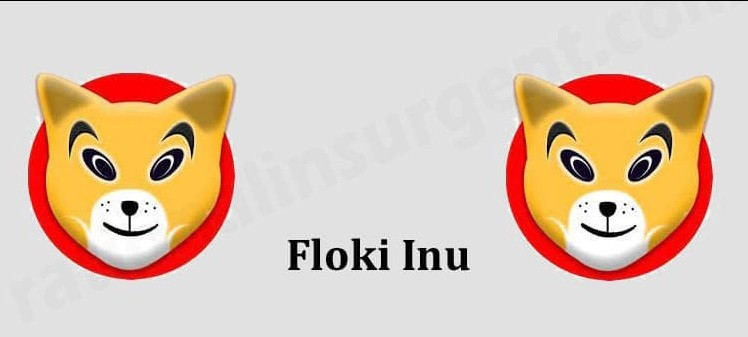 توکن Floki Inu