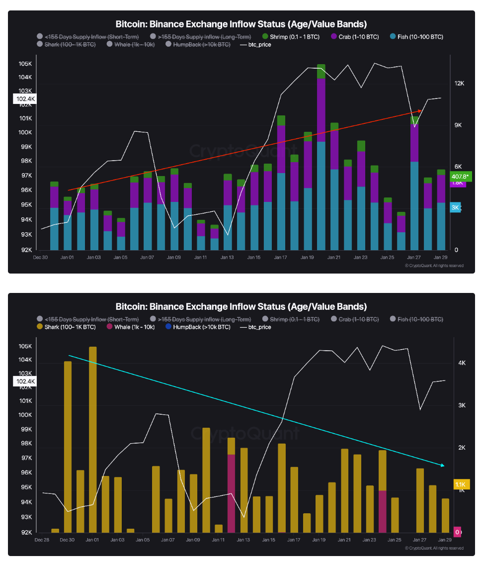 رفتار سرمایه گذاران