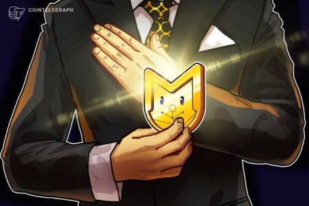 عدم شفافیت قانونی میم‌کوین‌ها پس از سقوط Libra